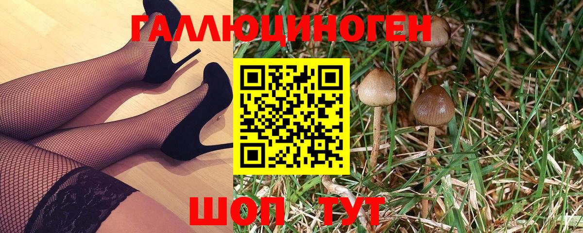 Псилоцибиновые грибы Magic Shrooms  Вход с VPN  Нефтекумск 